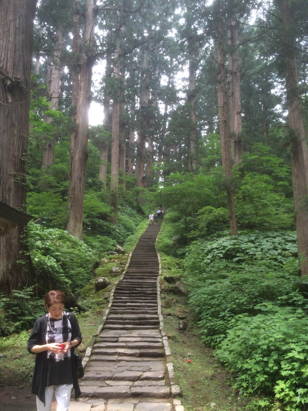 No.1019：山形・羽黒山の自然