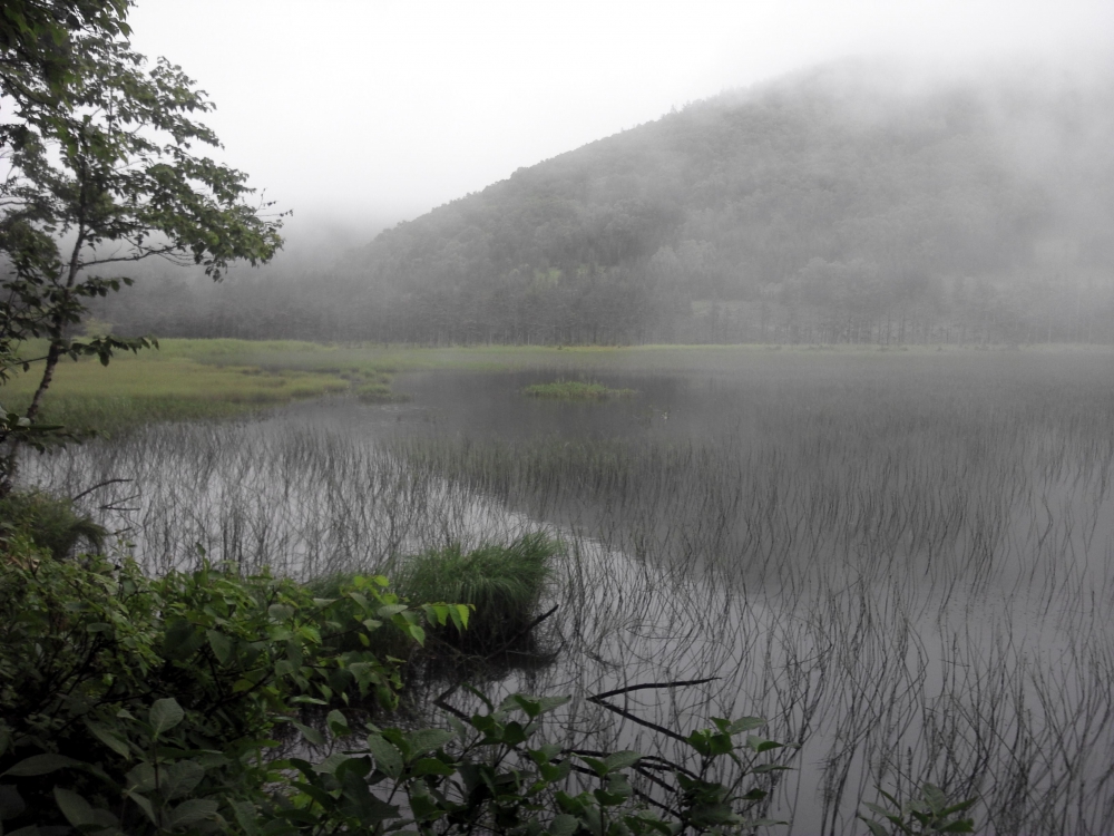 　北海道　東雲湖　原生林