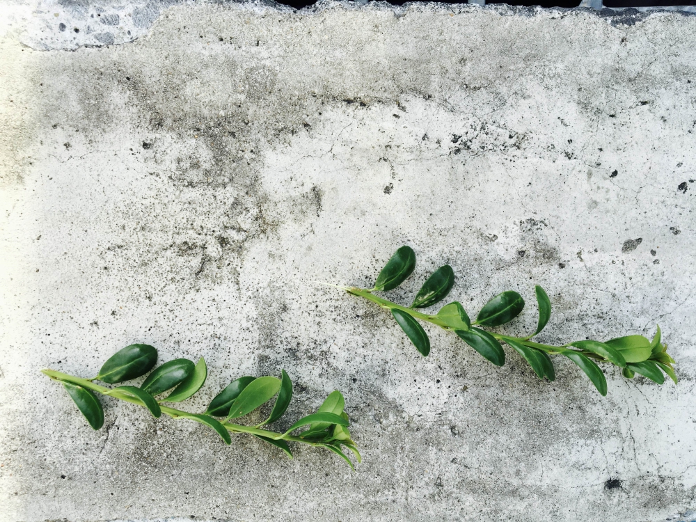 No.1035：なぜ魅力を感じるのか　〜単なる要素の組み合わせ〜