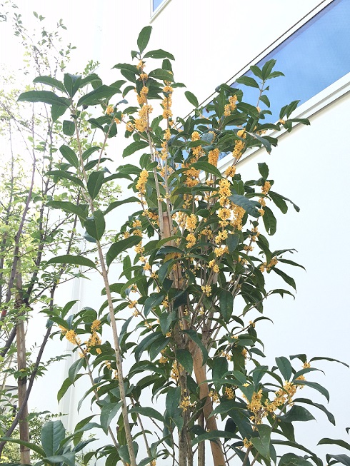 No.1047：お客様からの嬉しいお便り♪