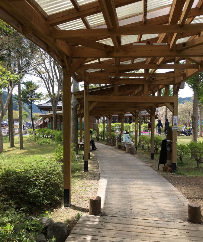 間引きした木材の園路