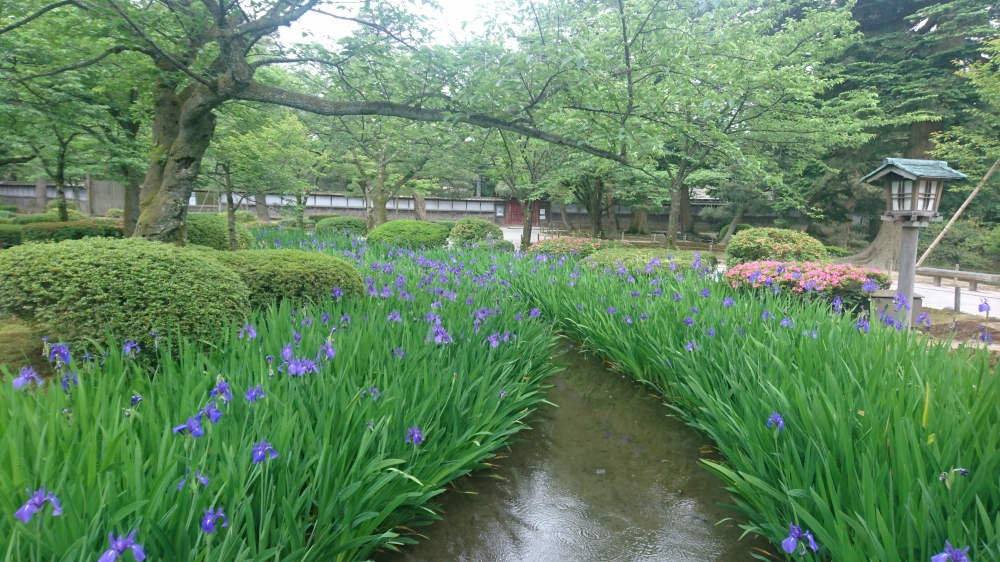 No.1071：兼六園に行ってきました!