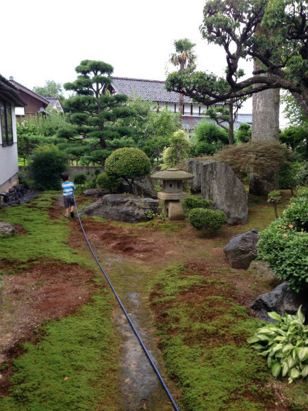 No.1110：夏の庭のお手入れ