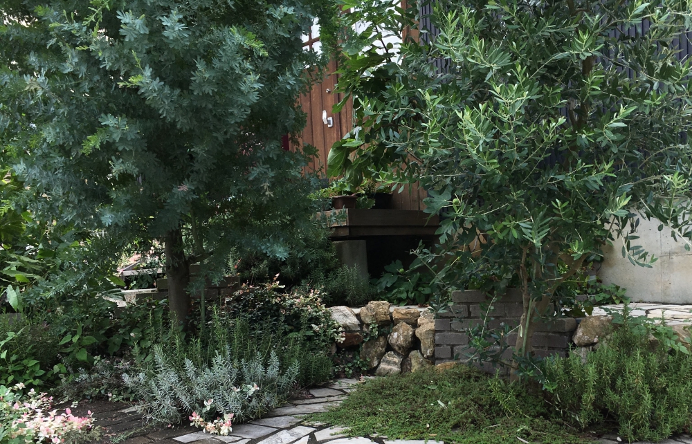 No.1115：庭木の剪定