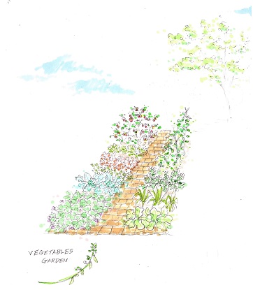 No.1162：家庭菜園で生活に潤いを