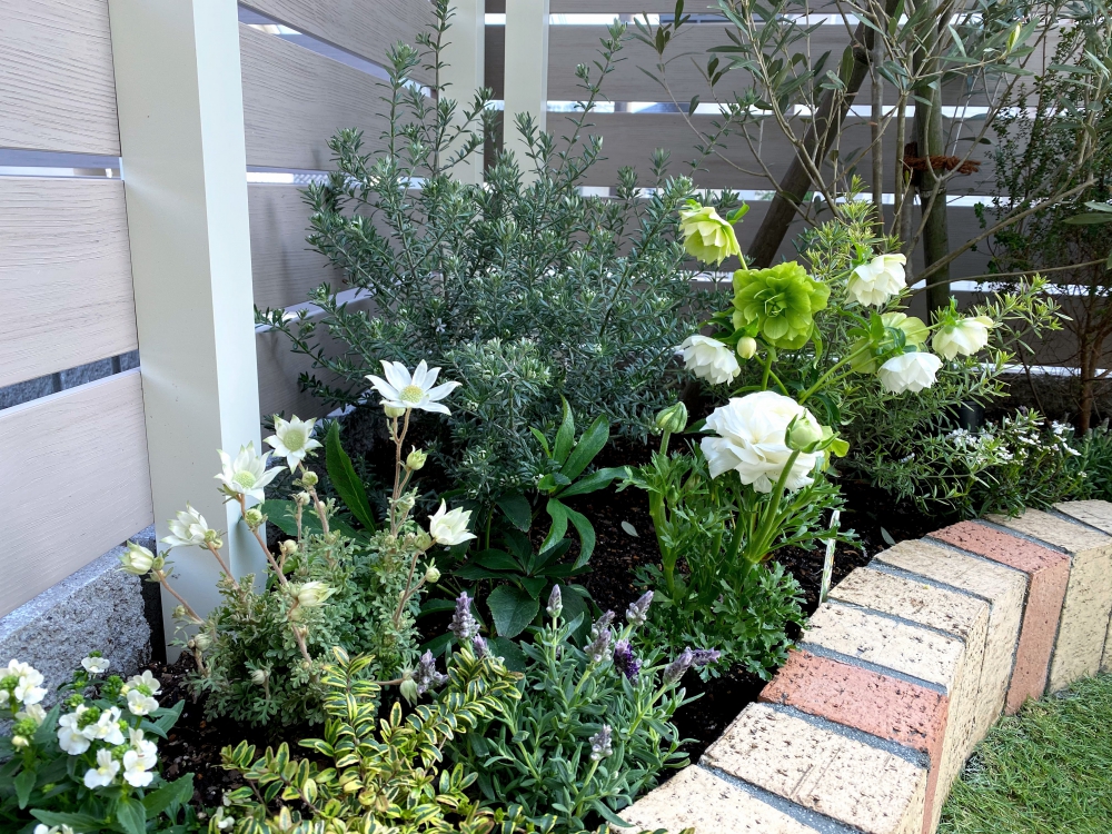 No.1175：カラーリーフで彩った花壇を