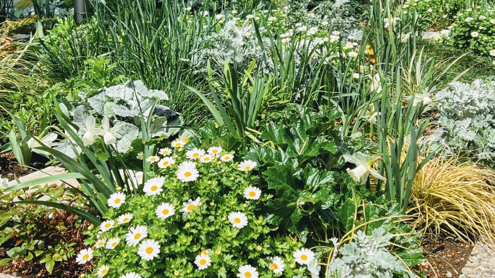 No.1182：春の花壇