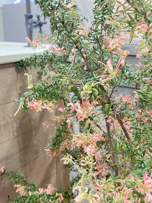 No.1192：外構デザインにおいて植栽の果たす役割とは・・・?　前編