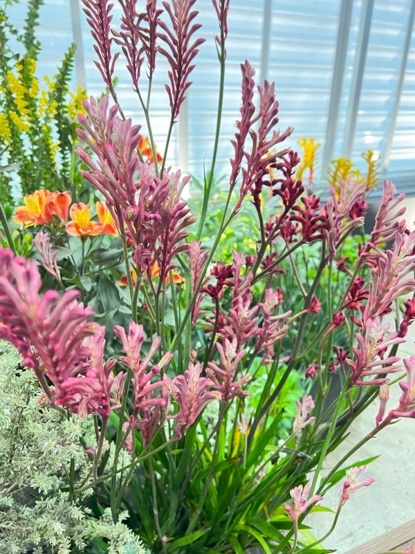 No.1193：植栽の果たす役割とは・・・?　後編