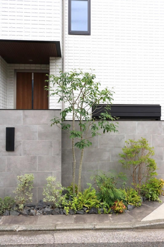 美しい樹形が保たれた樹木