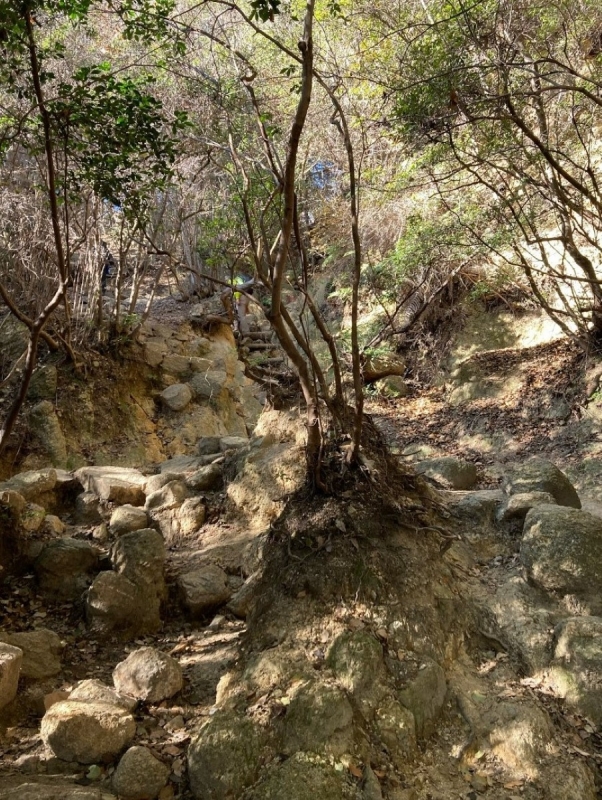 登山中に見た景色