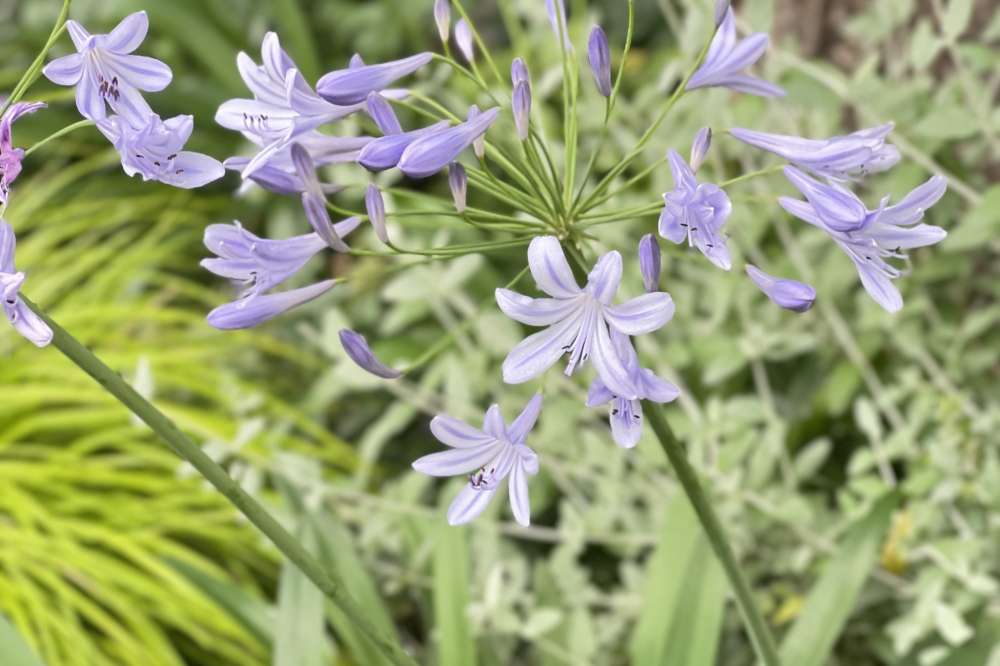 No.1211:【事務所移転のお知らせ】