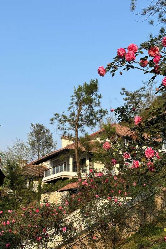 No.1212:東南アジアの高原リゾートへ