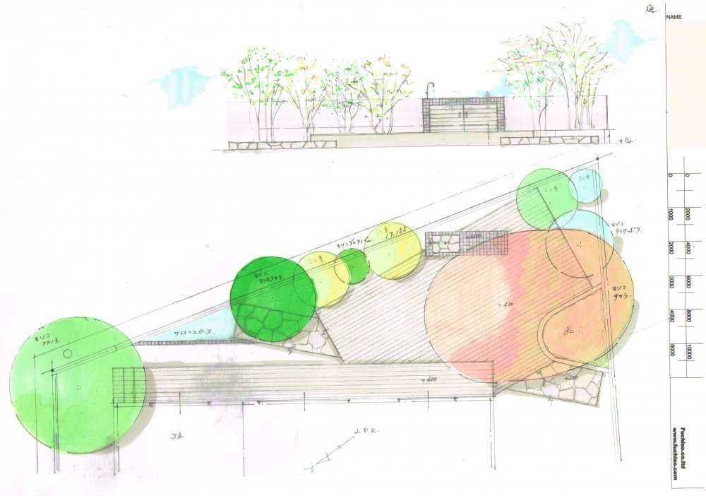 No.1042：大きな桜の木の下で