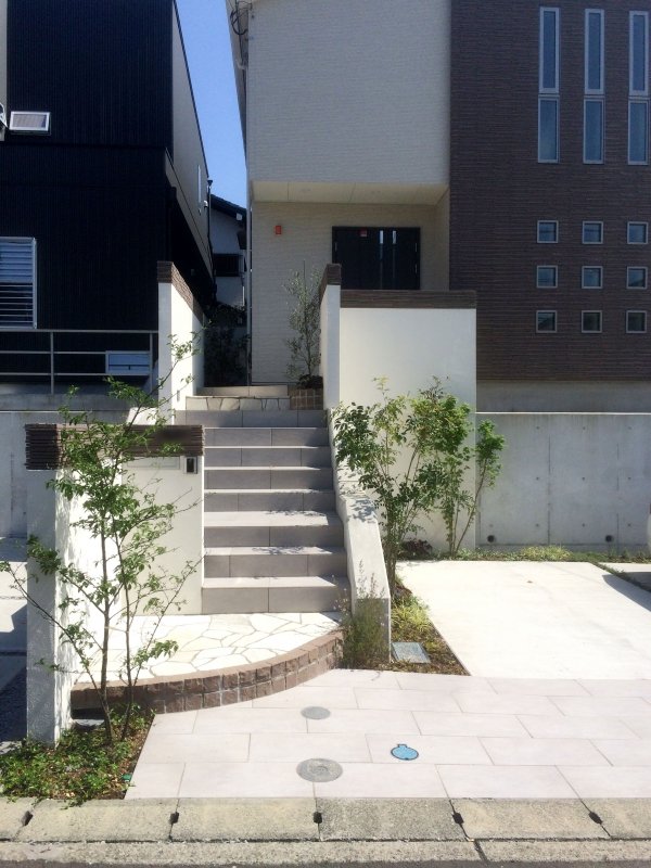 Pure White Exterior Wall and Trees