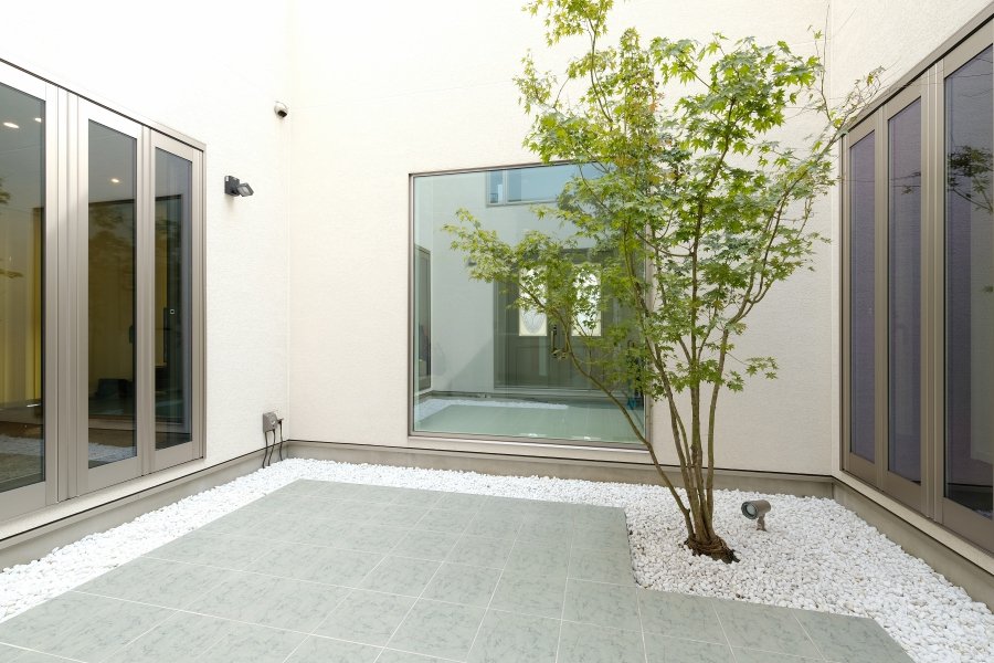 Japanese Maple Tree in a Courtyard with Passage of the Seasons