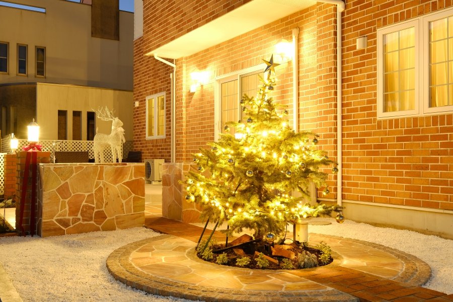 Lit-up Garden at the Holy Night