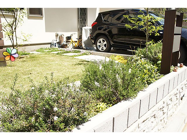 Open Lawn Garden with Stone Bench and More Plants