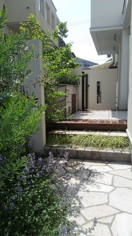 フェンスと植物、植木