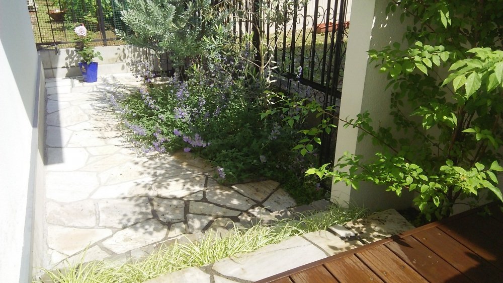 草目地、植栽、フェンス