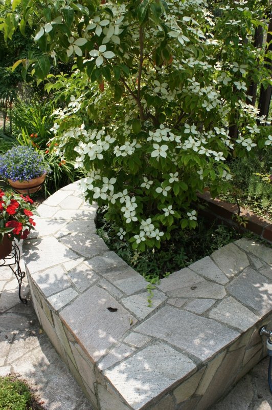 和のテイストを加えたイングリッシュガーデン