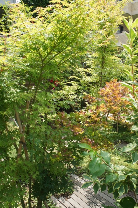 和のテイストを加えたイングリッシュガーデン