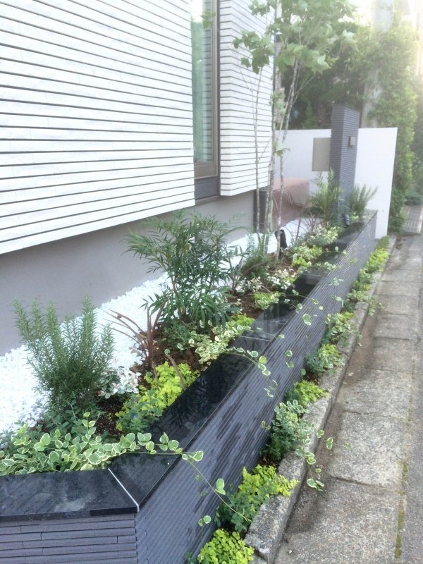 植栽で華やかに彩られた玄関花壇