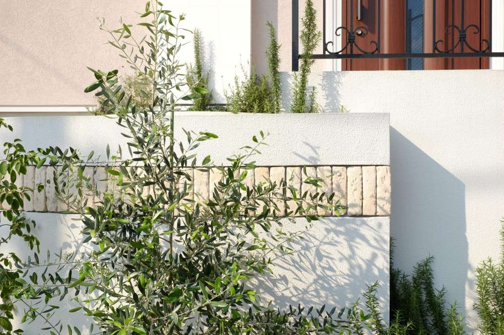 淡いレンガに生えるオリーブの葉