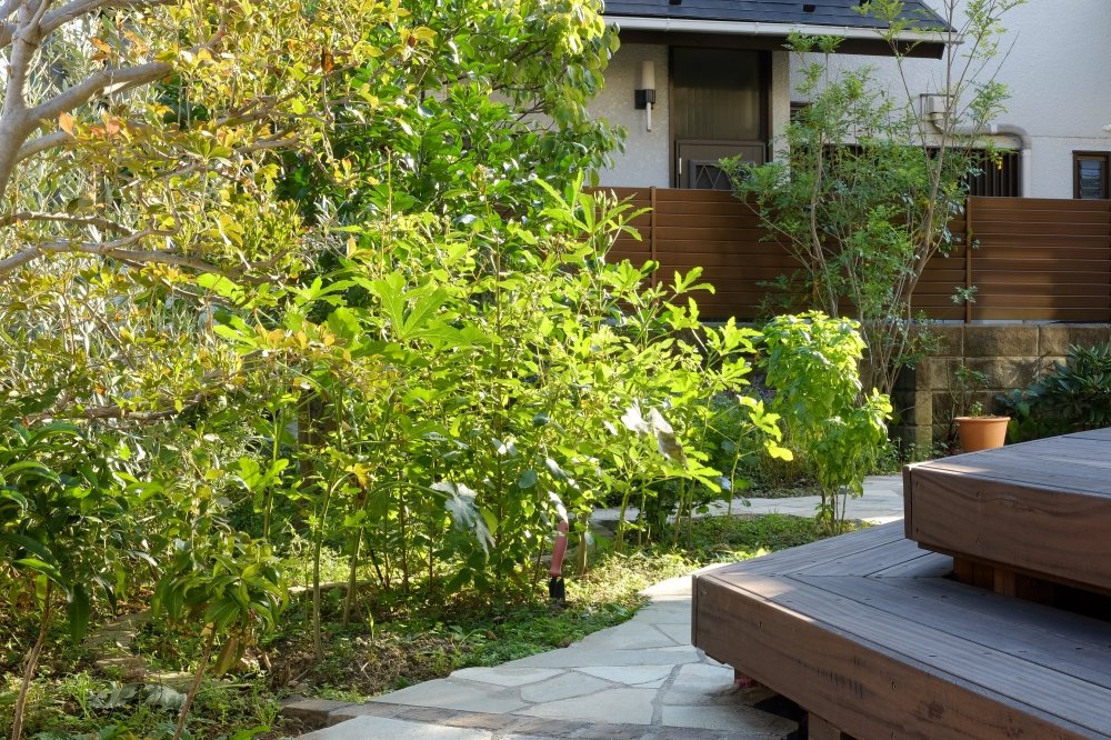 南側のデッキと植物