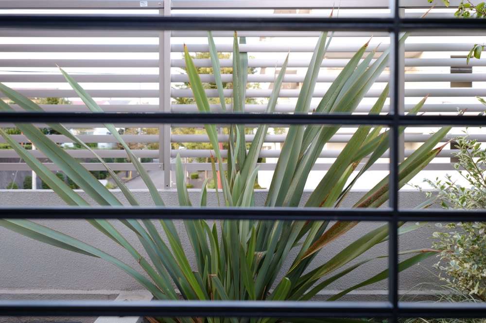 ニューサイラン