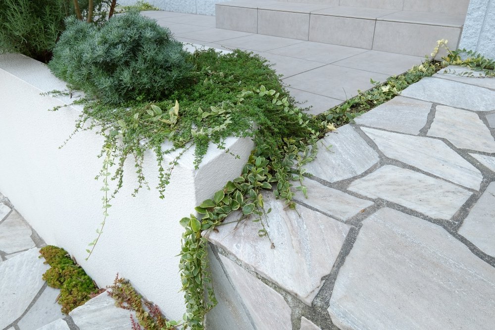 クラシカルな乱形石にもアクセントになる草目地