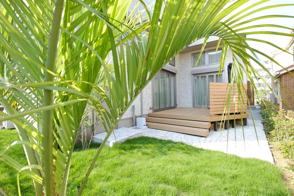 ココスヤシの植わったお庭