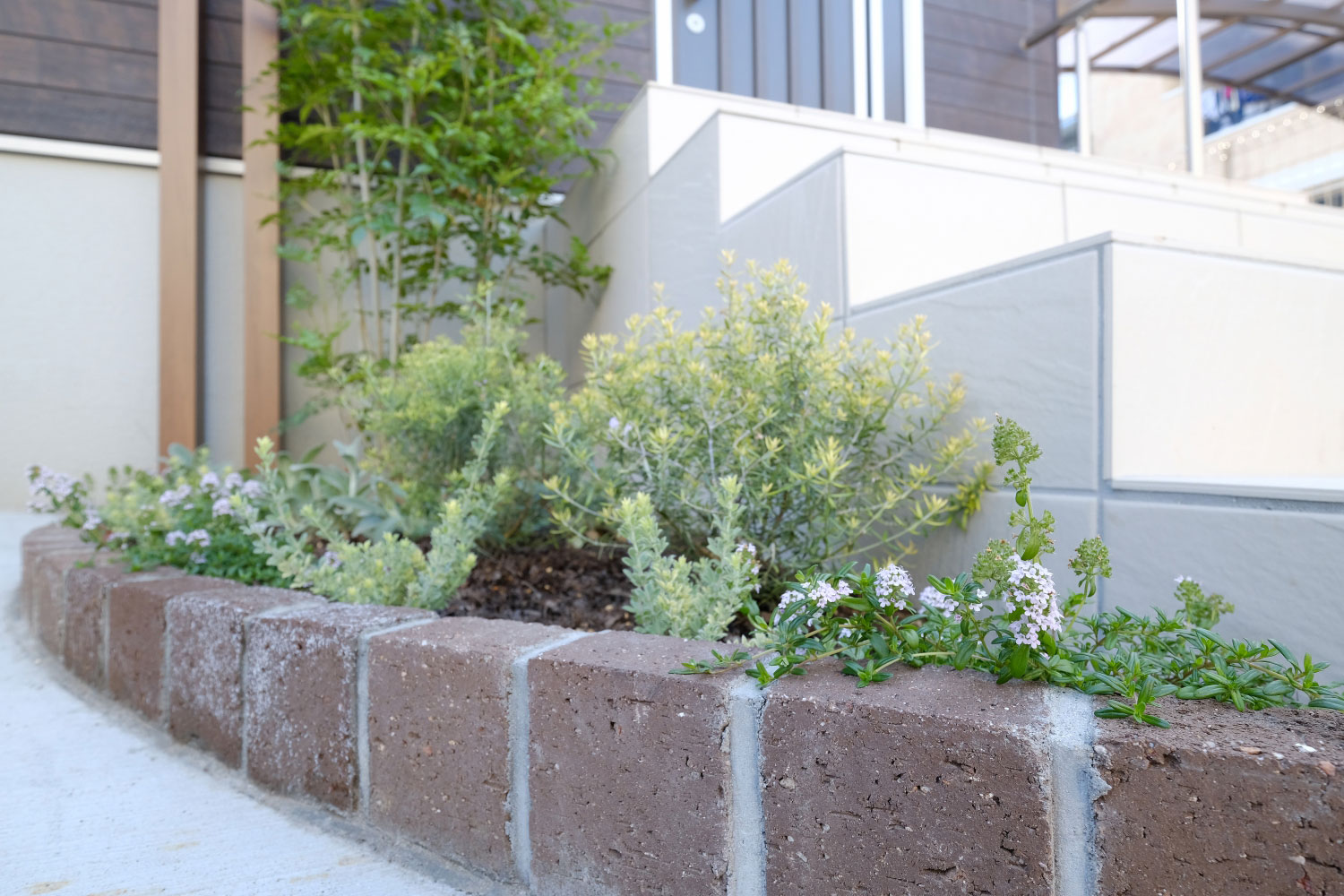 MLレンガステラ(サターン)の小端立て花壇