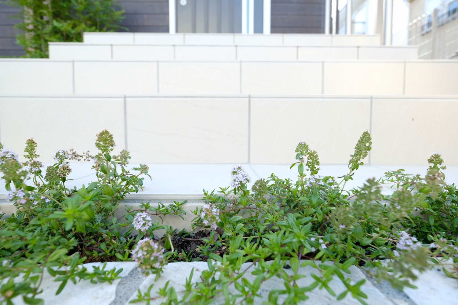 白系タイルと乱形石の階段には、草目地の緑色が良く映える♪