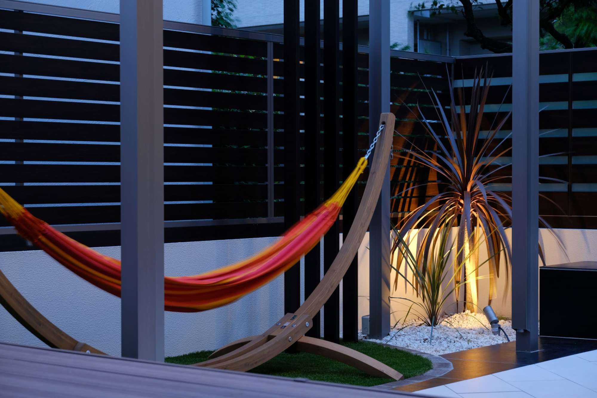 ドラセナのライトアップ