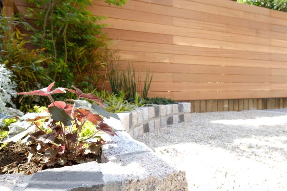 花壇植栽のヒューケラ