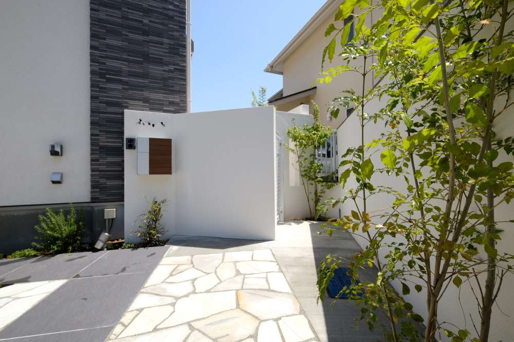 シマトネリコとコハウチワカエデ