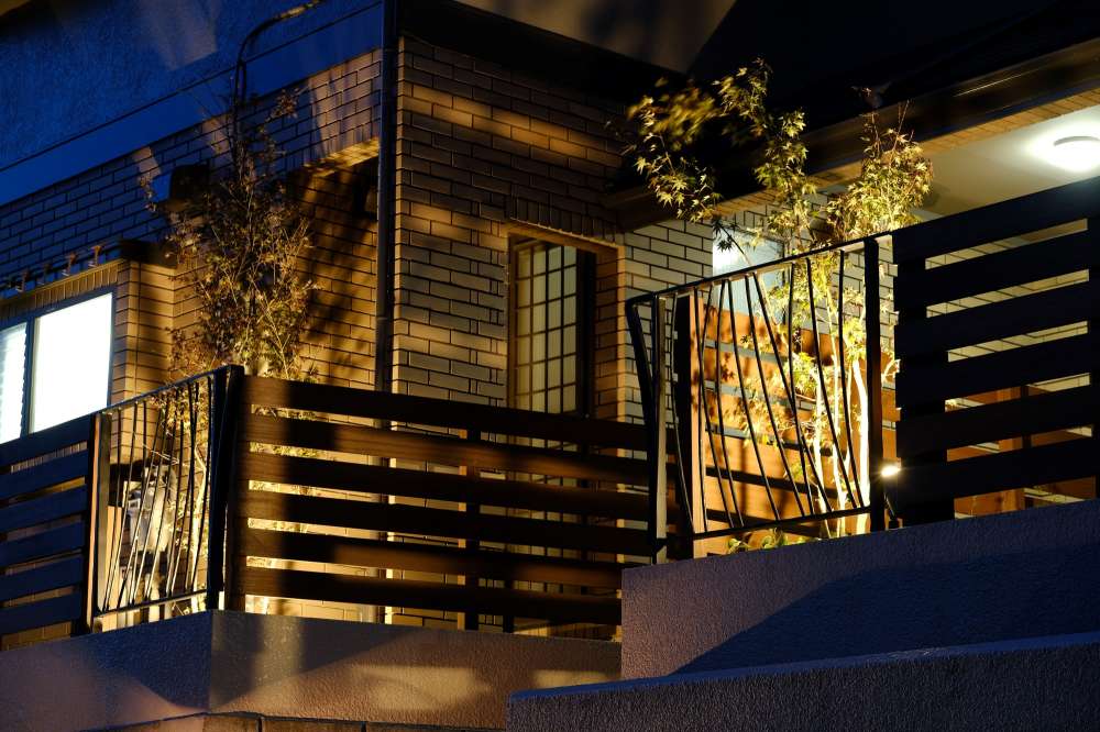 スポットライトに照らされた植栽