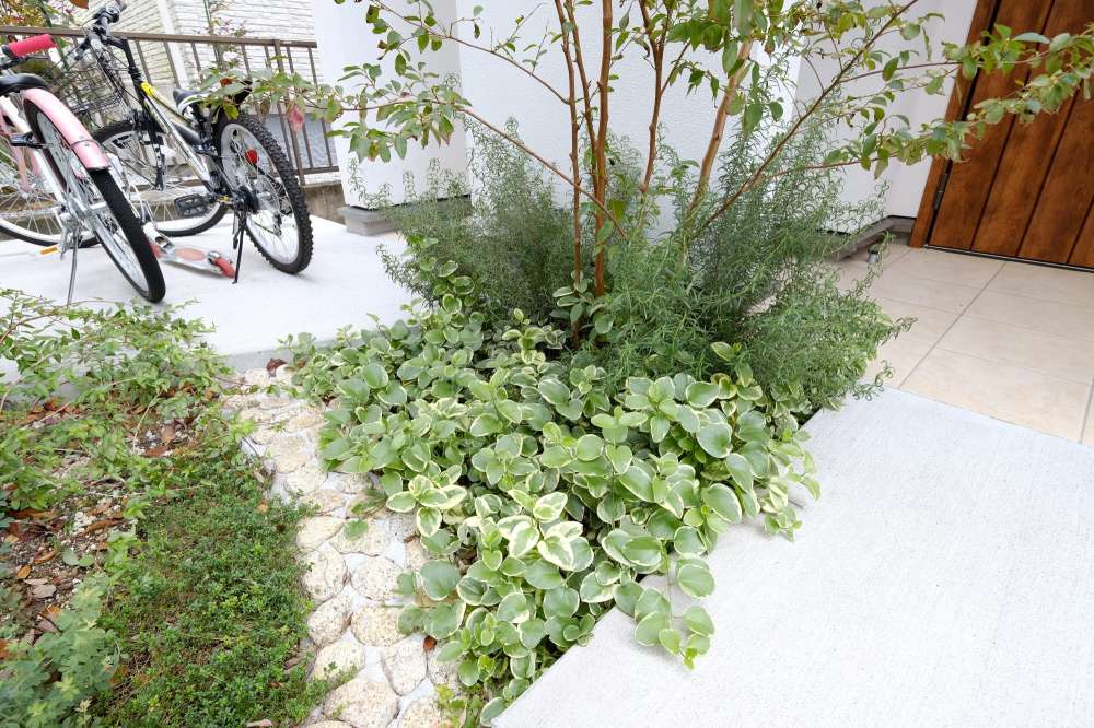 隠しスロープはゴロタ石造り