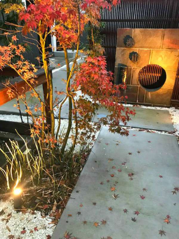 紅葉するモミジ