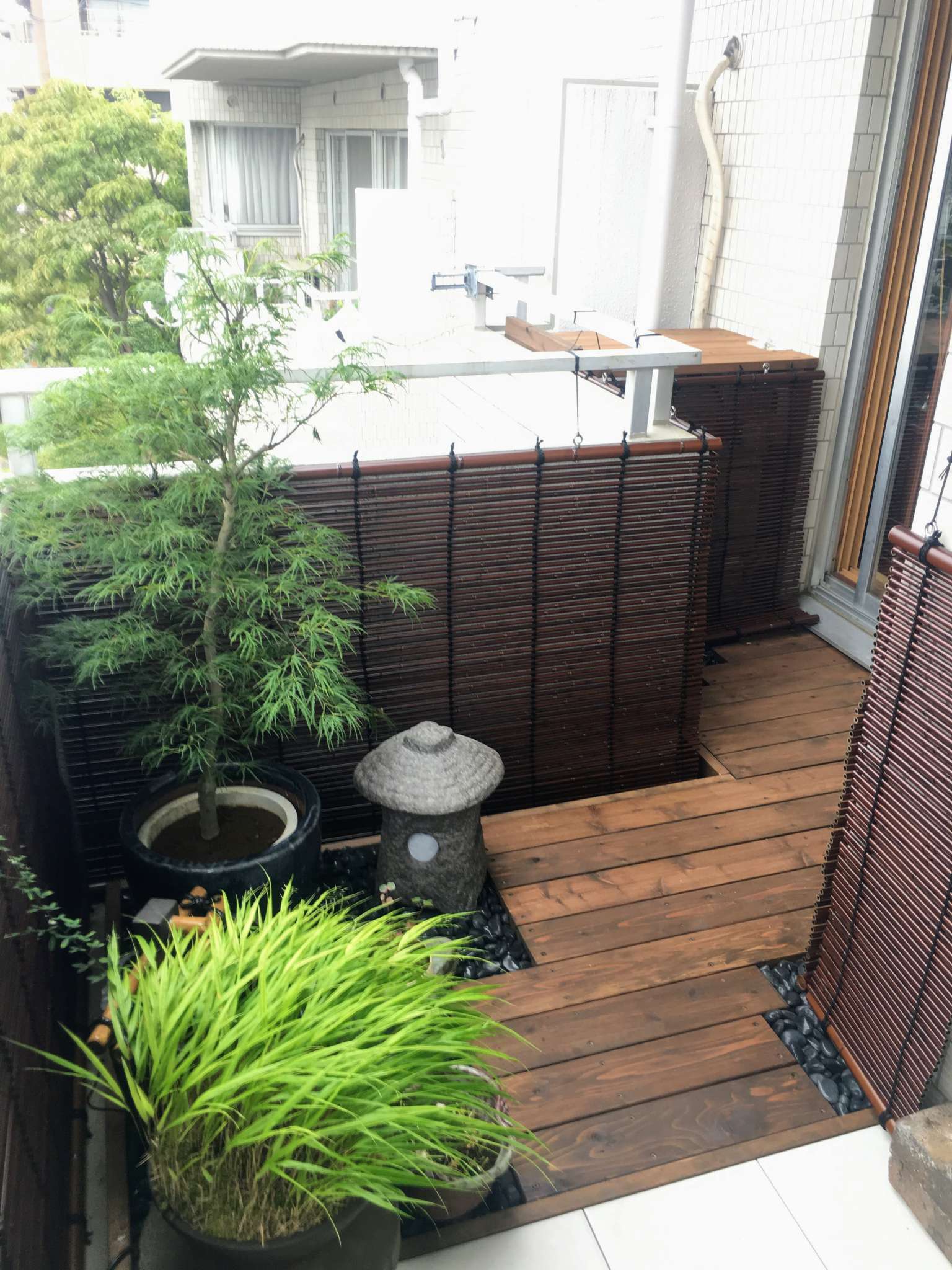 フウチソウの緑