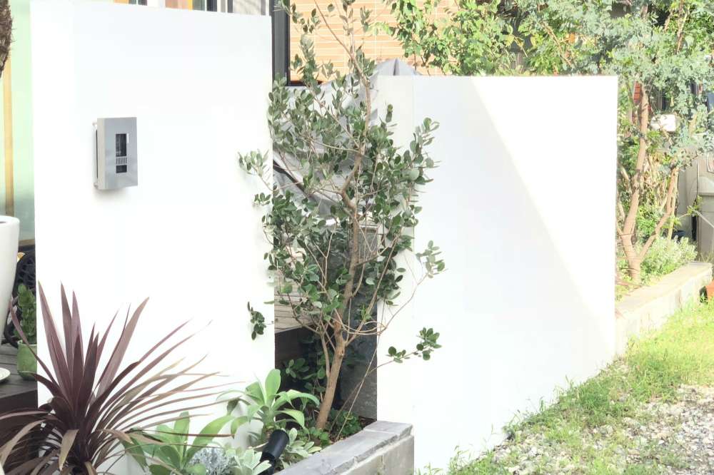 白い塗り壁の門柱にフェイジョアを添えて