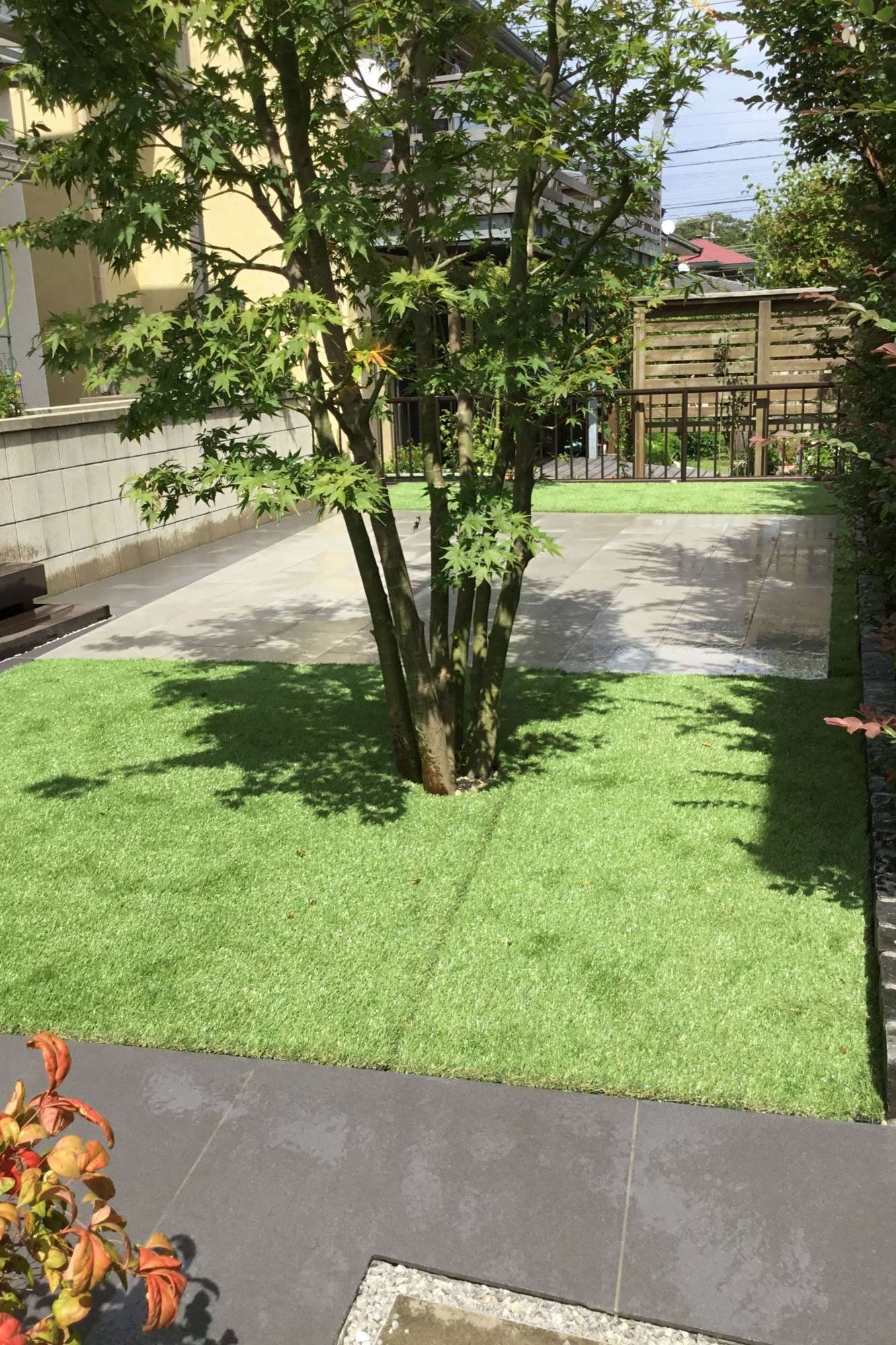 シンボルツリー