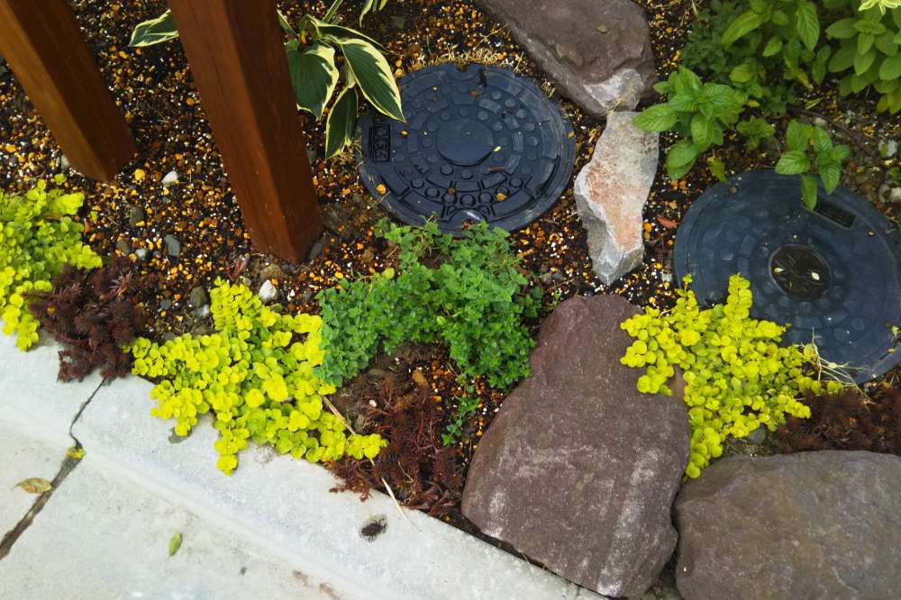 お庭の施工事例写真 No.1122