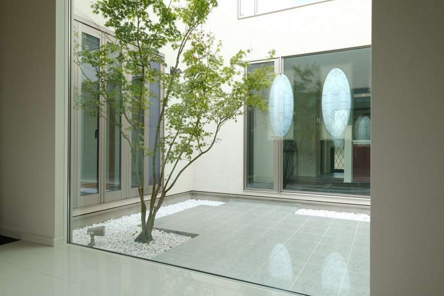 玄関ホールのガラス越しに見えるモミジ