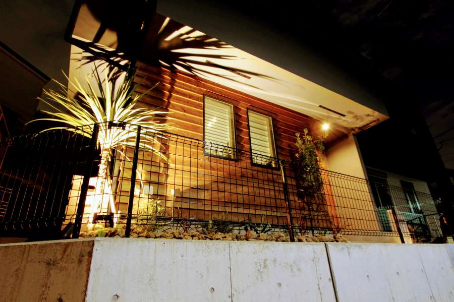 ドラセナのライトアップ