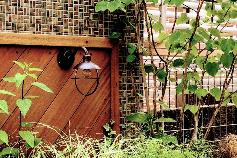 アンティークランプとマルバノキ