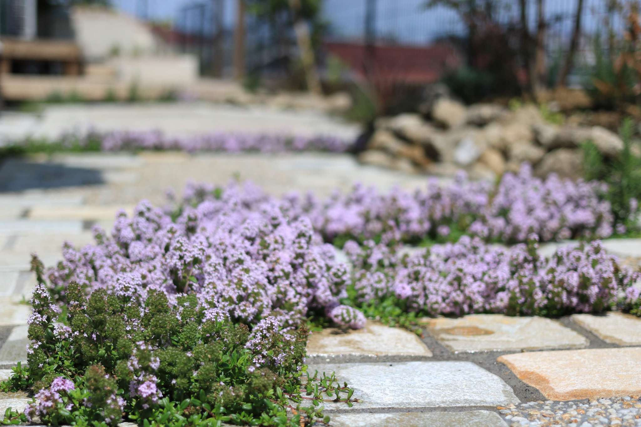 クリーピングタイムの目地