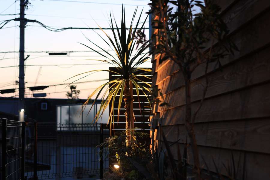 ドラセナに関する外構の施工事例