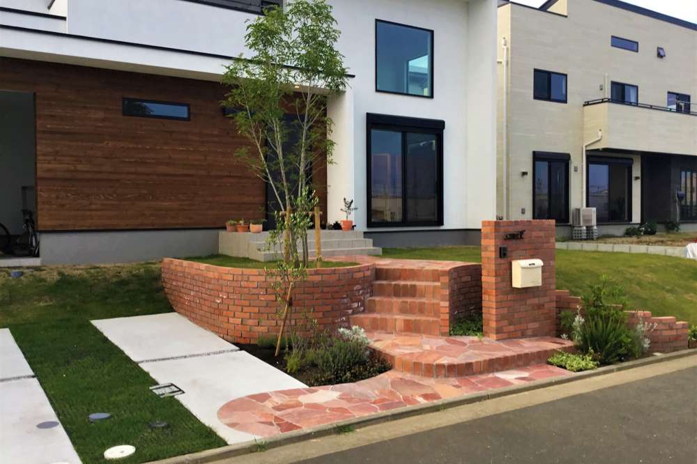 シマトネリコのシンボルツリー